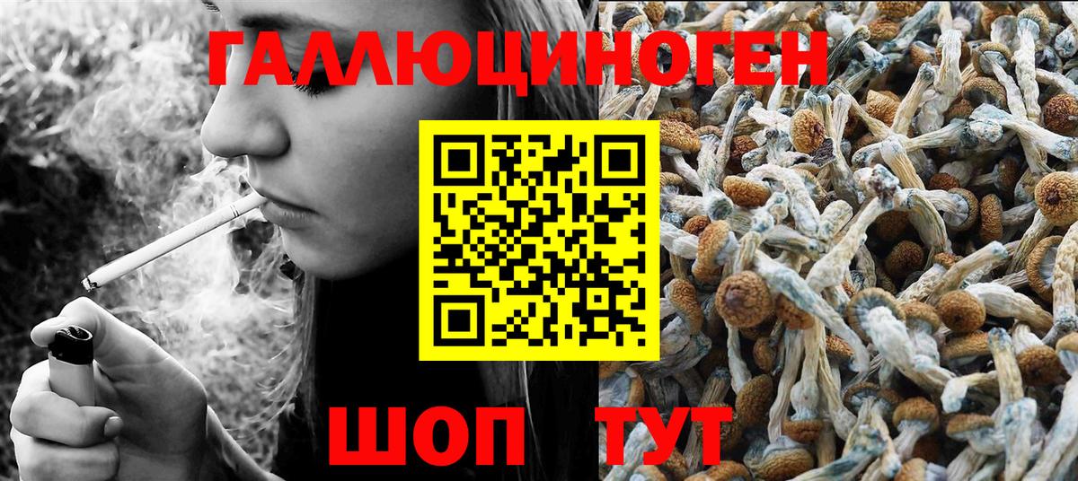 Псилоцибиновые грибы MAGIC MUSHROOMS Старая Купавна